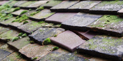 Wyre Piddle roof repair costs
